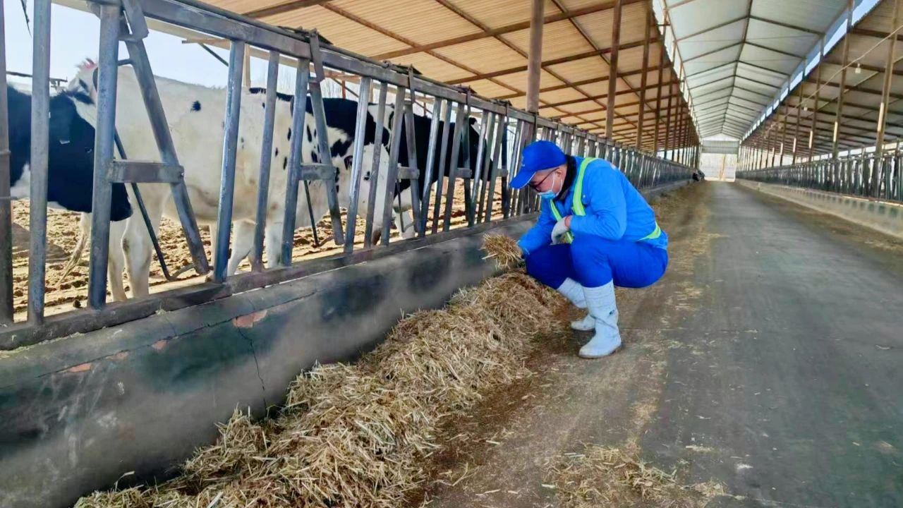 坚守岗位书写“敬业福”——向节日期间坚守岗位的甘肃前进集团员工致以崇高的敬意